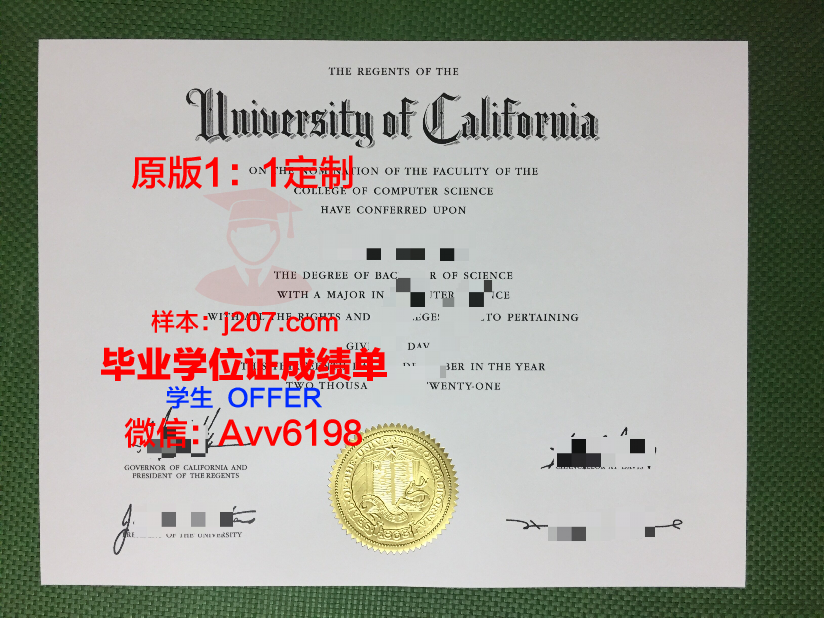 图卢兹政治学院毕业证成绩单：一份承载荣誉与梦想的证书