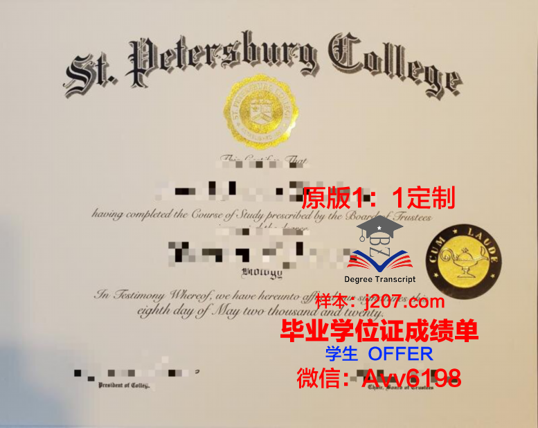 俄罗斯联邦卫生部圣彼得堡国立儿科医科大学diploma证书(俄罗斯圣彼得堡幼儿园)