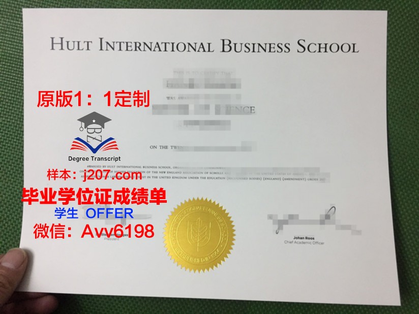 国际大学“国际劳动与社会关系学院”毕业证:开启全球职场新篇章