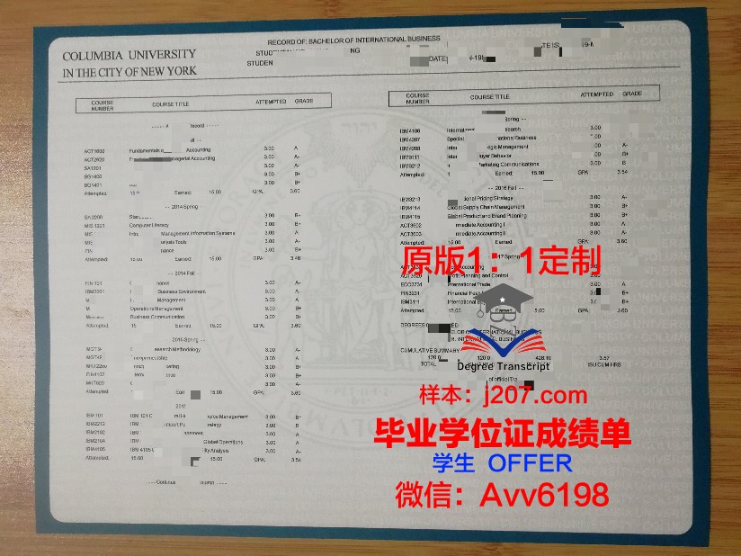 图宾根大成绩单：一份承载着历史与荣耀的学术瑰宝