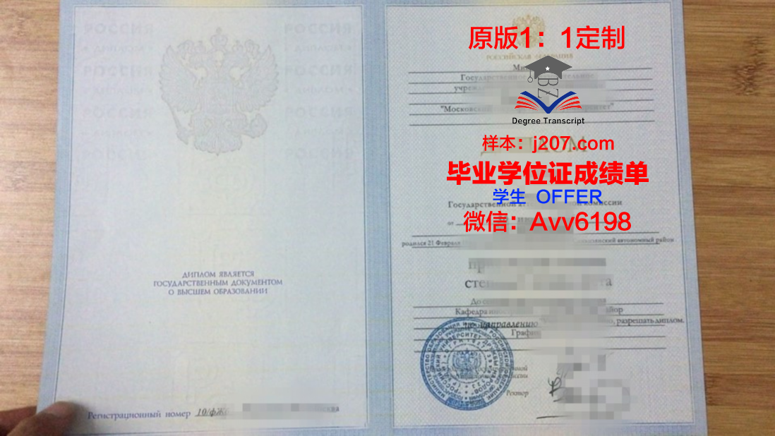 俄罗斯新经济学院毕业证Diploma文凭