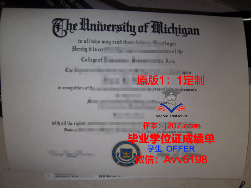 图卢兹第一大学毕业证Diploma文凭