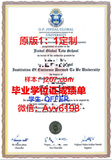 俄罗斯内务部克拉斯诺达尔法律学院学位证成绩单:一张纸背后的故事
