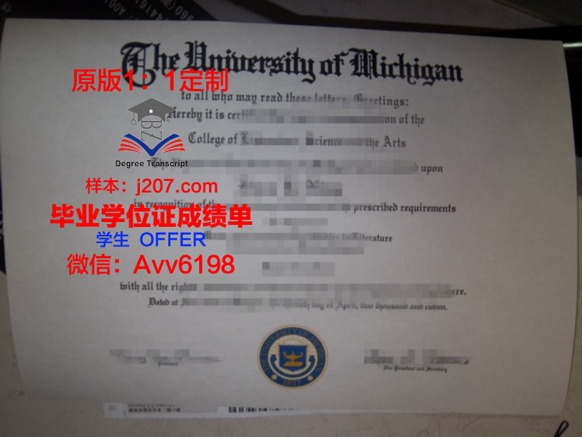 图卢兹第一大学毕业证学位文凭学历Diploma