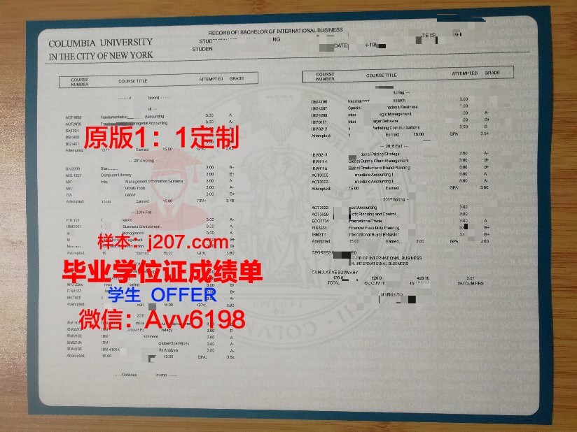 图卢兹第二大学成绩单：解锁学术成就的密码