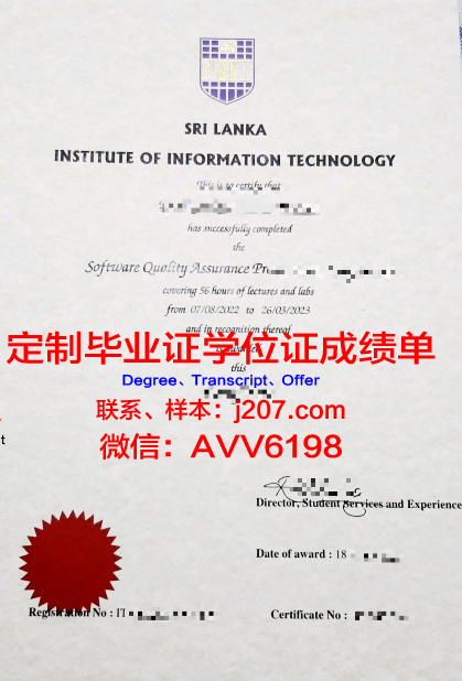 国际信息处理科学学院毕业证成绩单(国际关系学院信息科技学院)