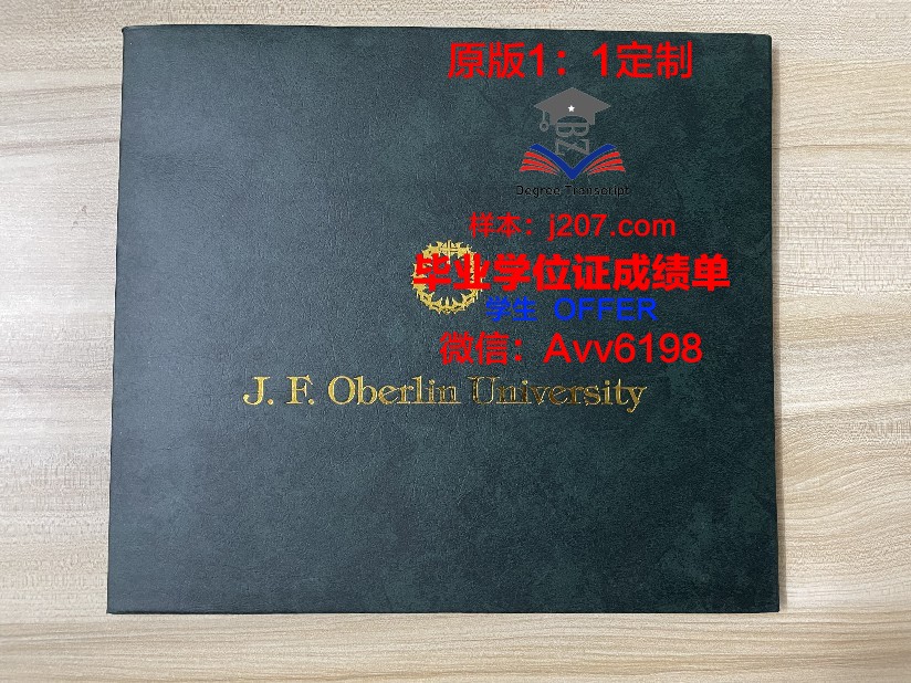 图卢兹第一大学研究生毕业证(图卢兹大学经济学博士)