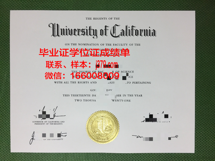 国际设计与服务学院毕业证:一张纸的重量