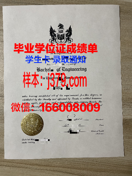 俄罗斯内务部克拉斯诺达尔法律学院成绩单:探索法治之光