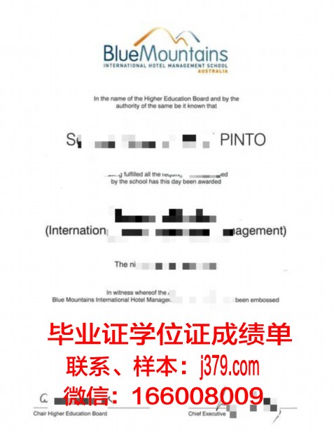 图尔-普瓦提埃高等商业与经济管理学院集团diploma证书(图尔普瓦提埃战役)