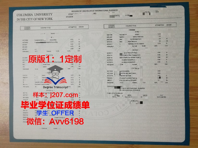 国雅科学位成绩单定制：打造个性化学术名片