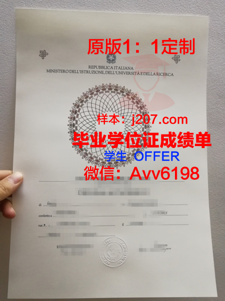 国际商业与技术学院成绩单:一份全球视野下的教育评价
