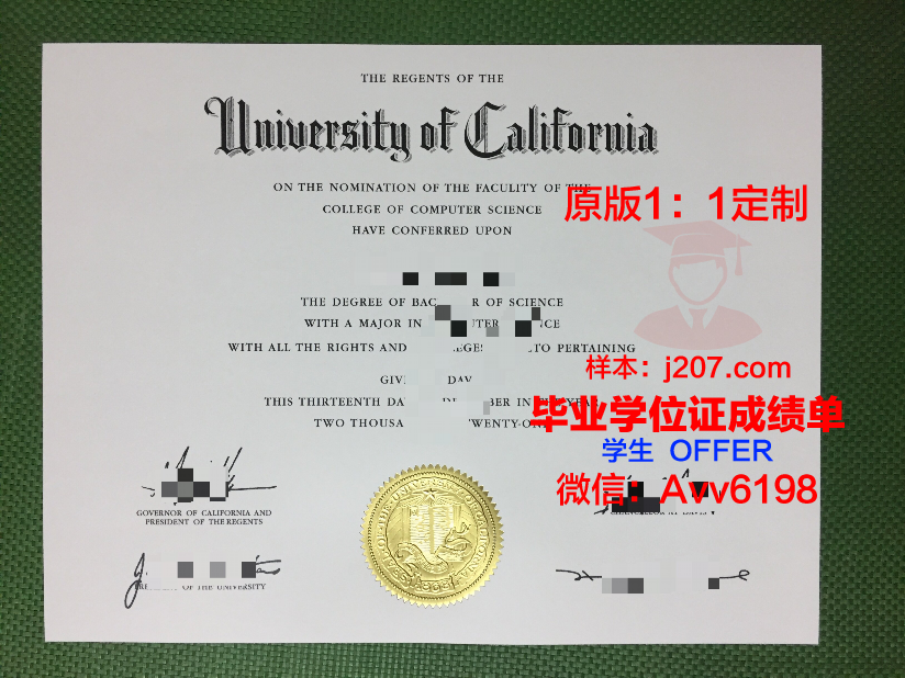 图尔-昂热-勒芒艺术与设计高等学院硕士毕业证:一份承载荣誉与梦想的证书