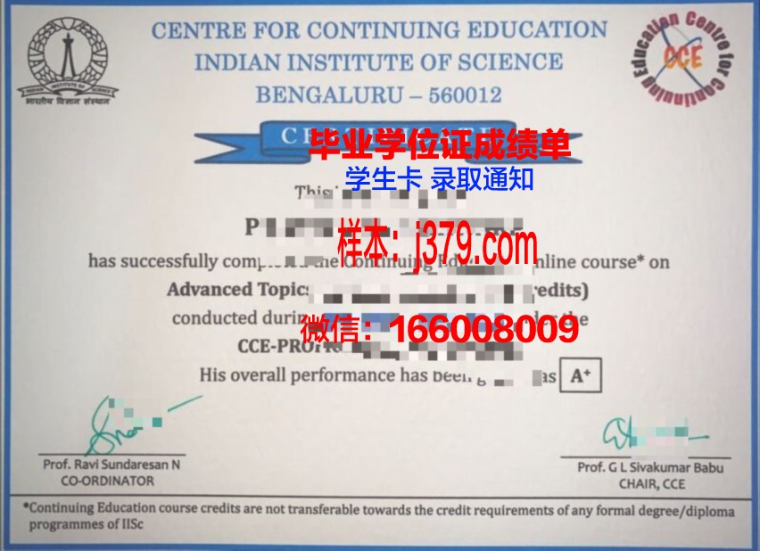 国际信息处理科学学院毕业证:一张纸的重量