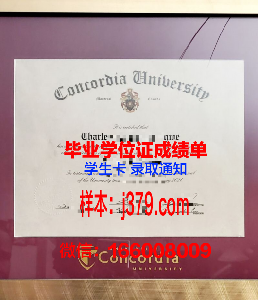康科迪亚学院毕业证Diploma文凭