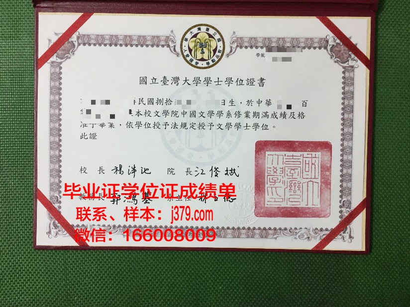 弗拉基米尔国立人文大学毕业证是什么样子(弗拉基米尔国立大学艺术学院)