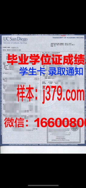 情报安全大学院大学成绩单