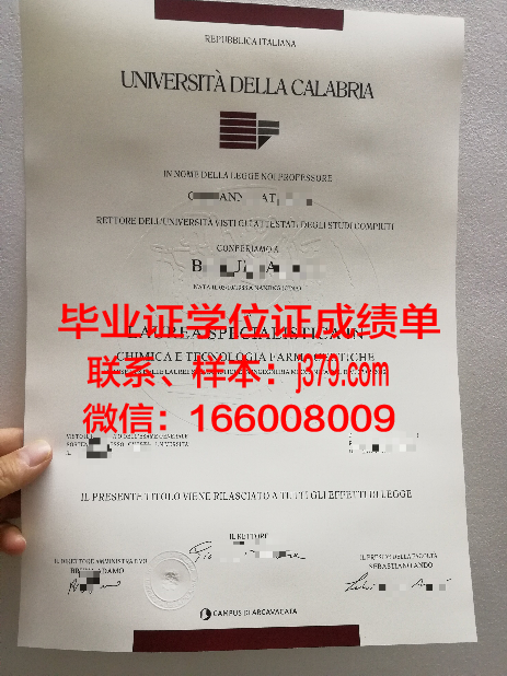 意大利大学毕业证书样本(意大利的大学毕业证是怎么的)