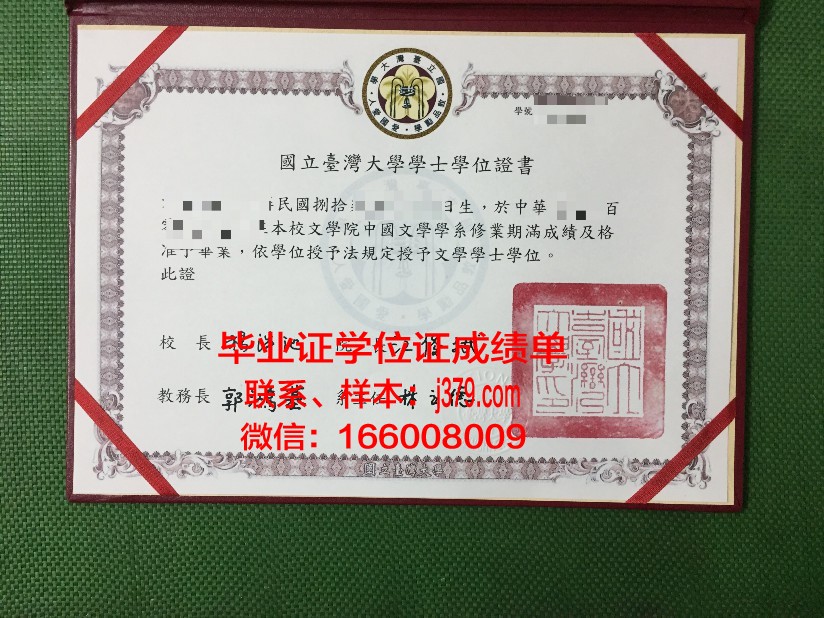 成功国立大学毕业证电子版(国立成功大学好吗)