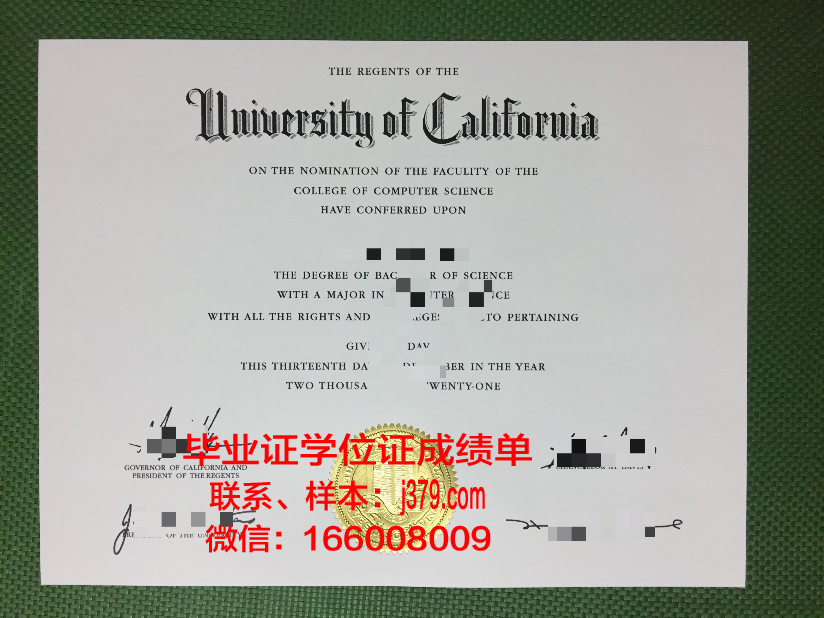 慈悲学院毕业证图片Mercy College Diploma