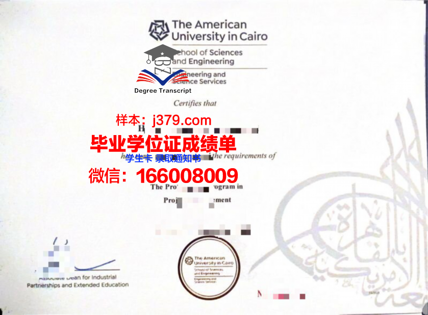 开罗大学文凭(开罗大学是名牌大学吗)