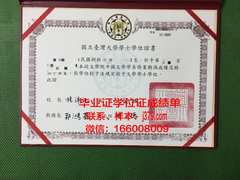 成功国立大学毕业证是真的吗(国立成功大学艺术研究所)