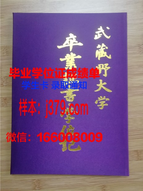 提契诺大学毕业证壳子
